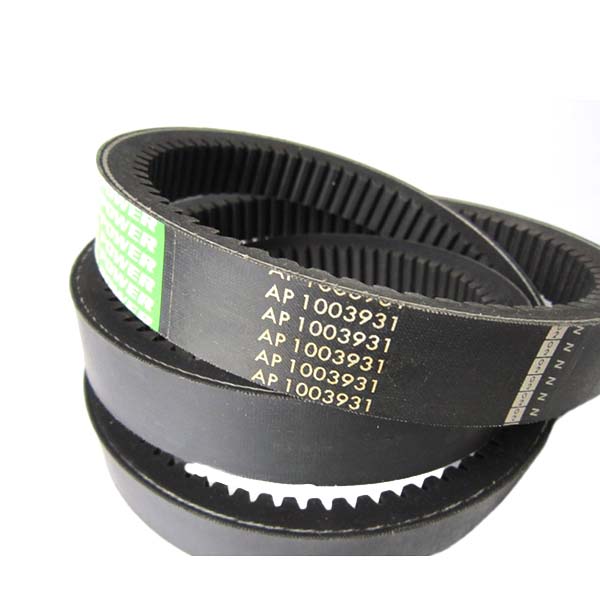 AP1003931 Pasek rozrządu Optibelt