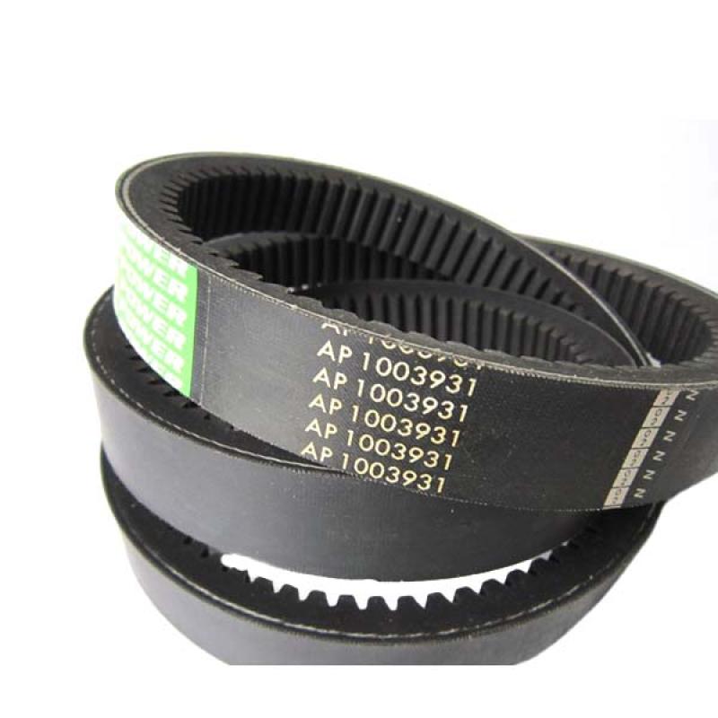 AP1003931 Pasek rozrządu Optibelt