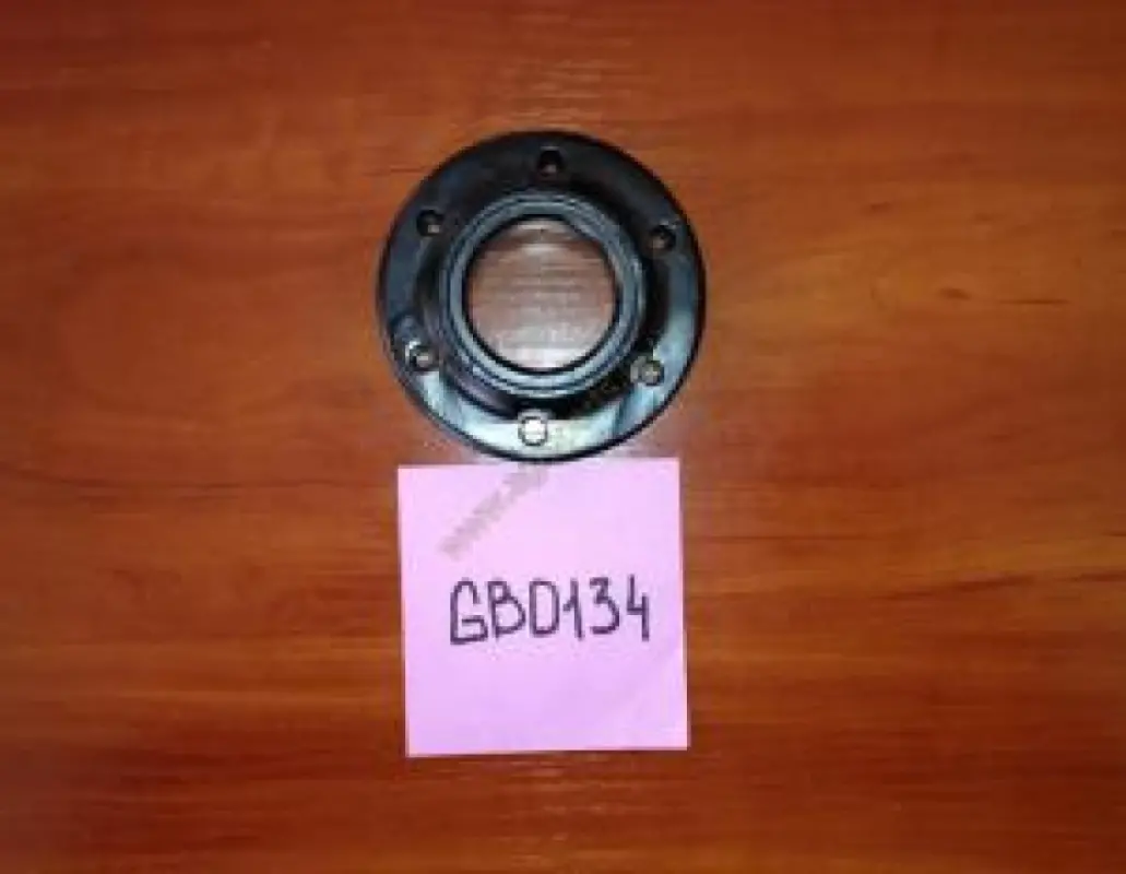 GB0134 Piasta Kinze