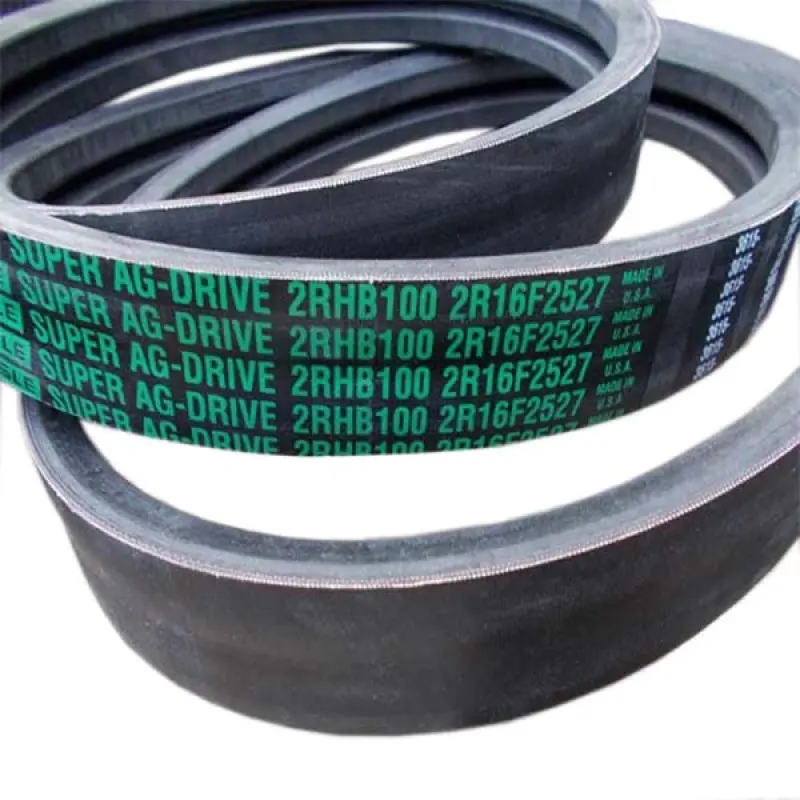 2rhb100 Pasek dwukierunkowy Carlisle