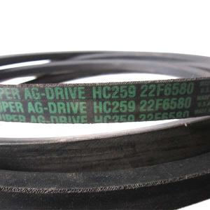 HC259 (22F6580) Carlisle Belt