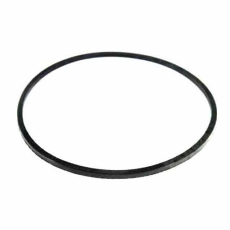 J924605 Ring (seal) Case IH