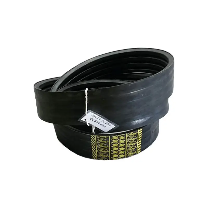 1425254 Pasek klinowy Gates
