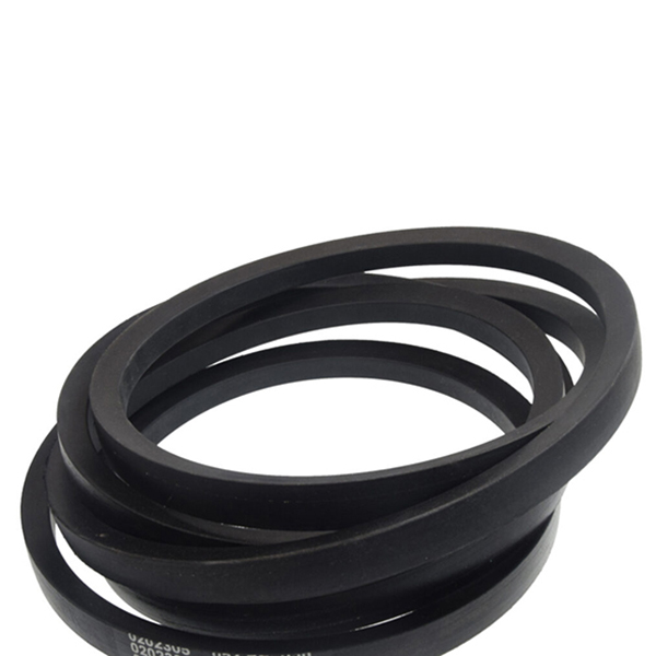 0202493 Pasek klinowy Gates