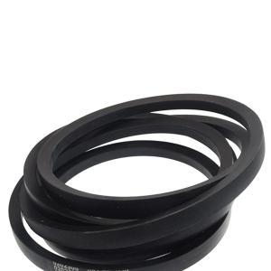 0202493 Pasek klinowy Gates