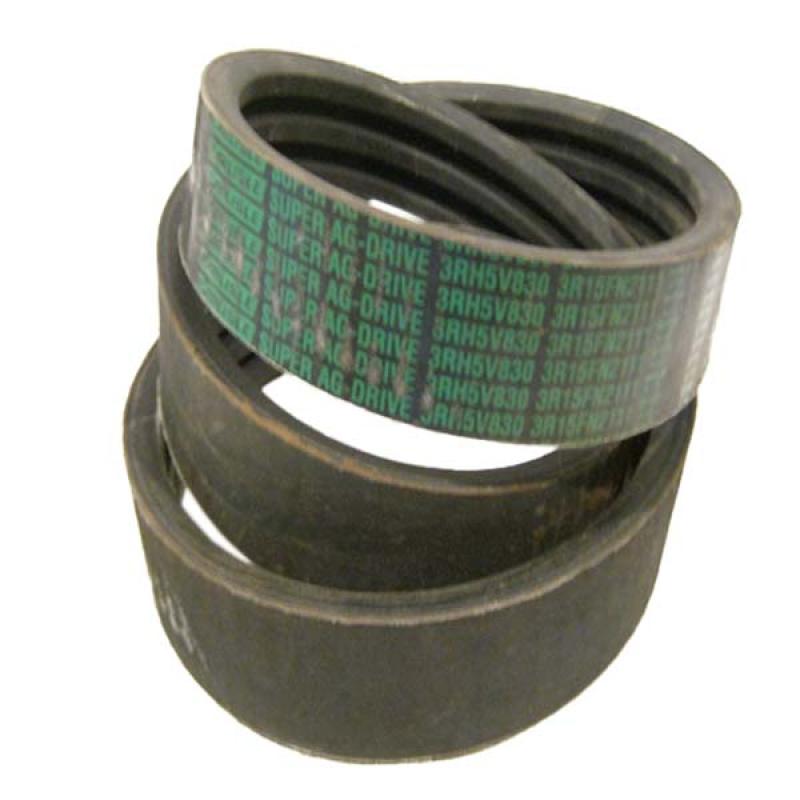 3rh5v830 Pasek trzyżyłowy Carlisle