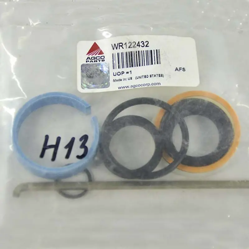 WR122432 Zestaw naprawczy siłownika hydraulicznego Massey Ferguson (AGCO PARTS)