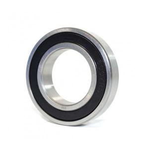 6007 2RS CX Single Row Ball Bearing