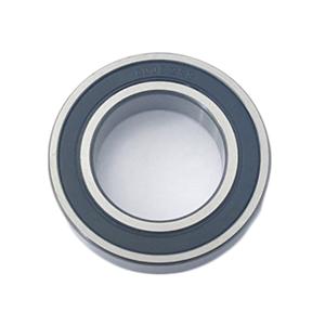 6008-2RS CX (WITHOUT UL) Single Row Ball Bearing