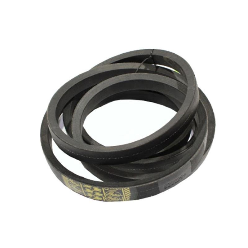 0203294 Pasek Gates