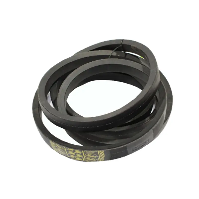 0203294 Pasek Gates