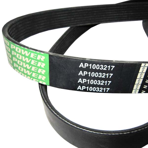 AP1003217 Pasek wielorowkowy Optibelt