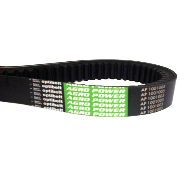 AP1001003 Pasek Optibelt