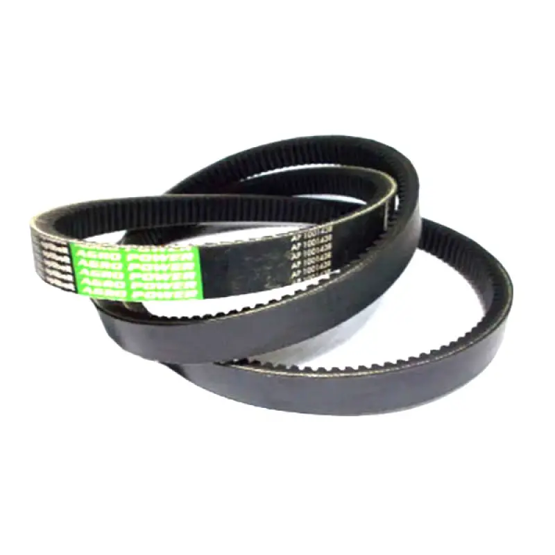AP1001438 Pasek Optibelt