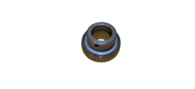 RALE20-NPP-B Bearing INA (non-EU)