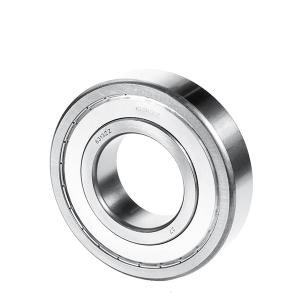 6313 Ball Bearing Single Row ZZ Whale