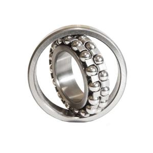 1218K ZVL Double Row Ball Bearing