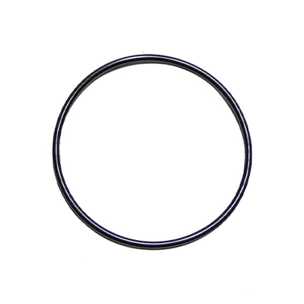 1313718 O-ring CAT