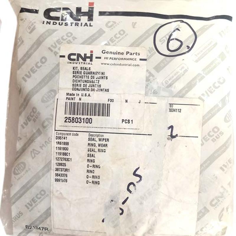 25803100 Zestaw uszczelek cylindra CNH