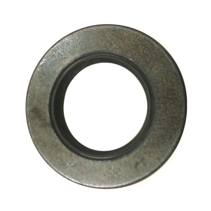 302957A1 Oil Seal (unpacked) CNH