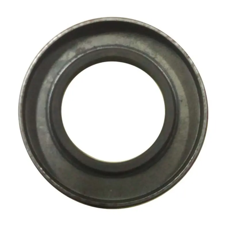 302957A1 Oil Seal (unpacked) CNH