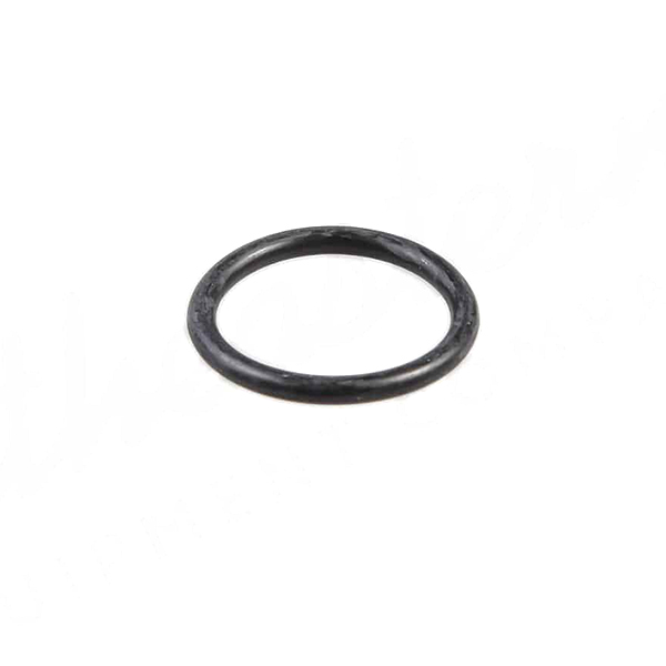 304967 O-ring 2,5 x 20 CNH