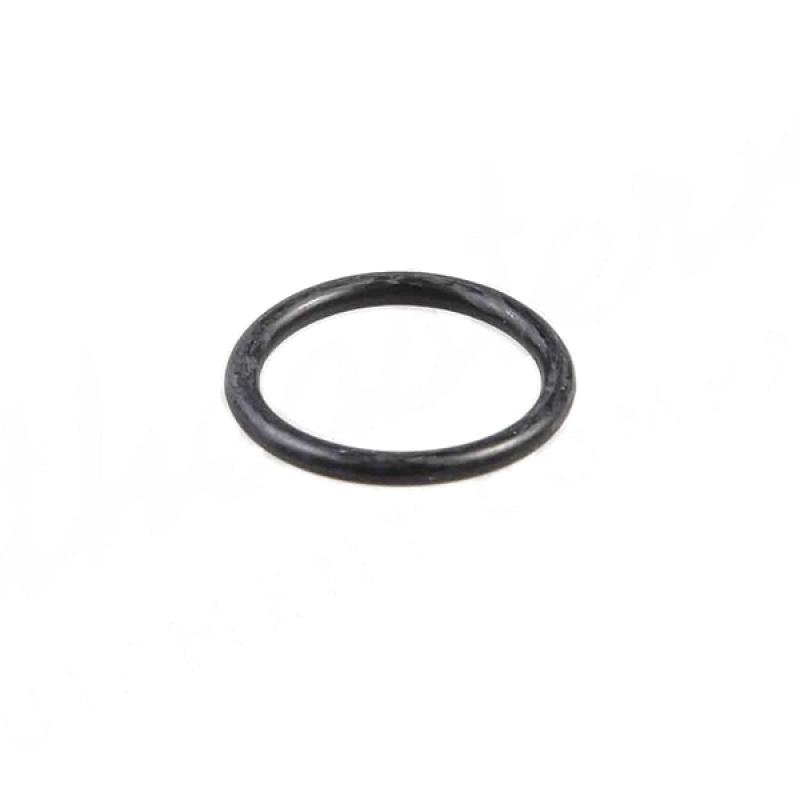 304967 O-ring 2,5 x 20 CNH