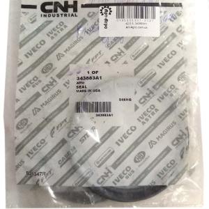 343883A1 Uszczelka CNH