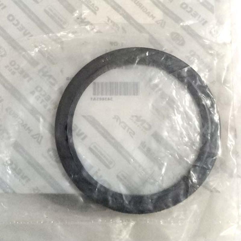 343883A1 Uszczelka CNH