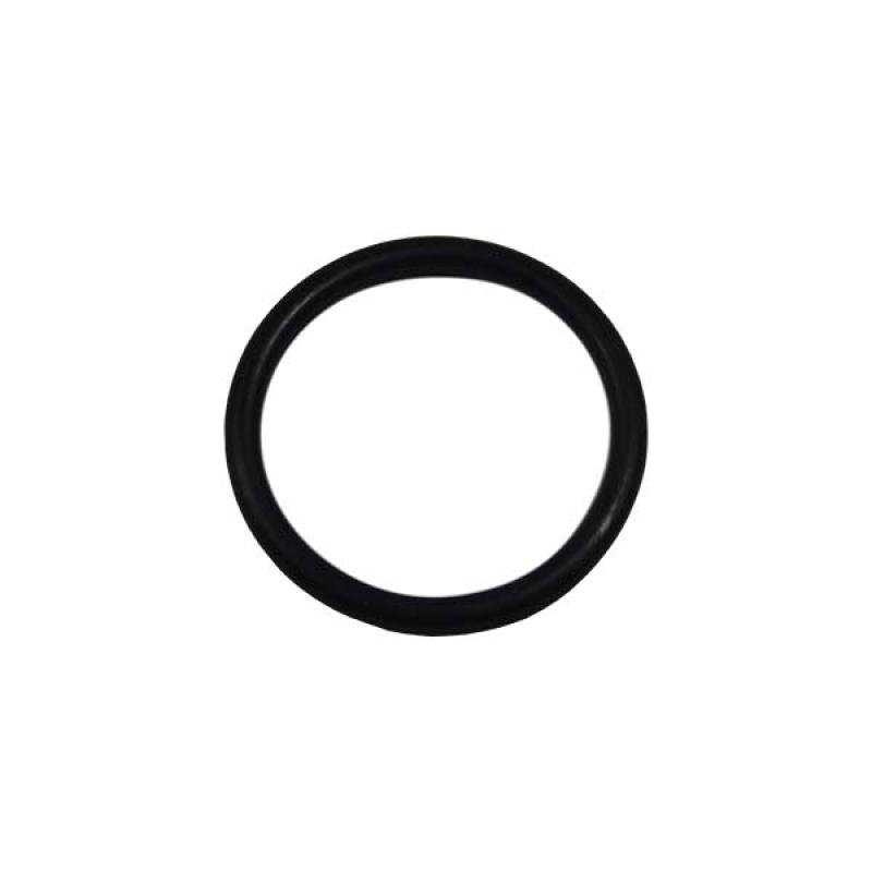 84021955 O-ring 3 x 29,2 CNH