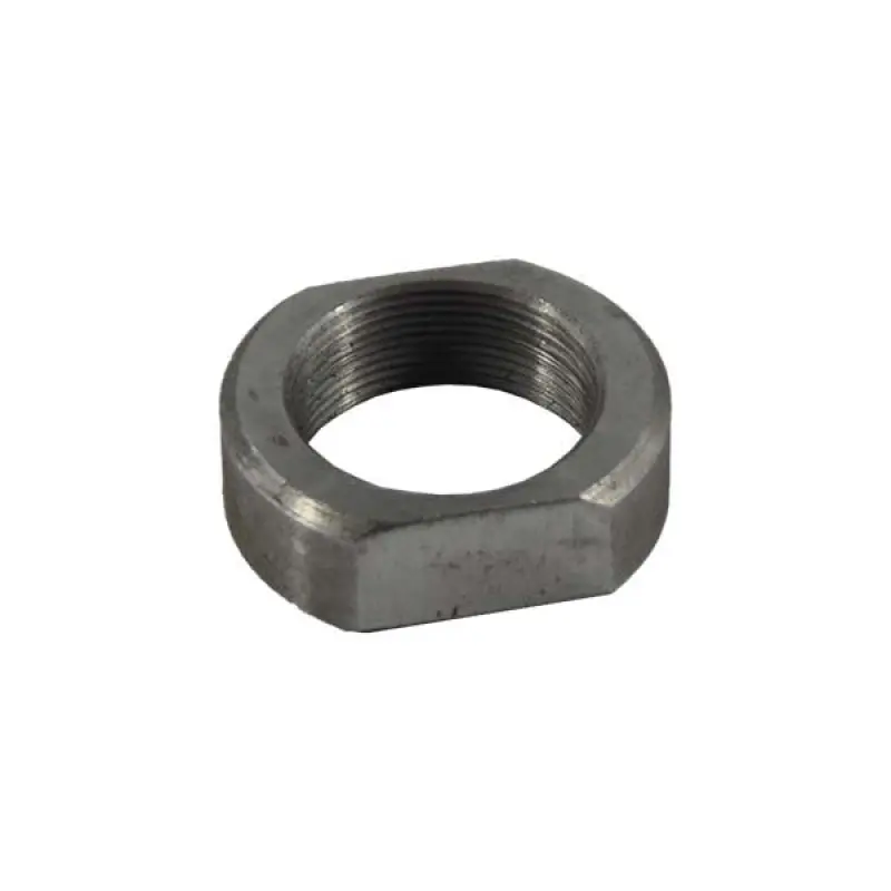 501077 Geringhoffa Nut