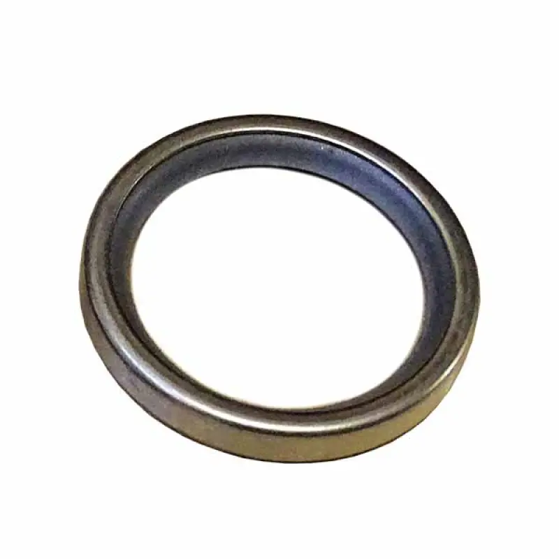 98494952 Thermostat Gasket CASE