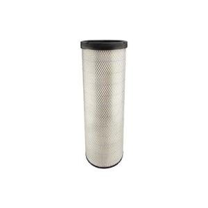 RS4629 Air Filter Baldwin