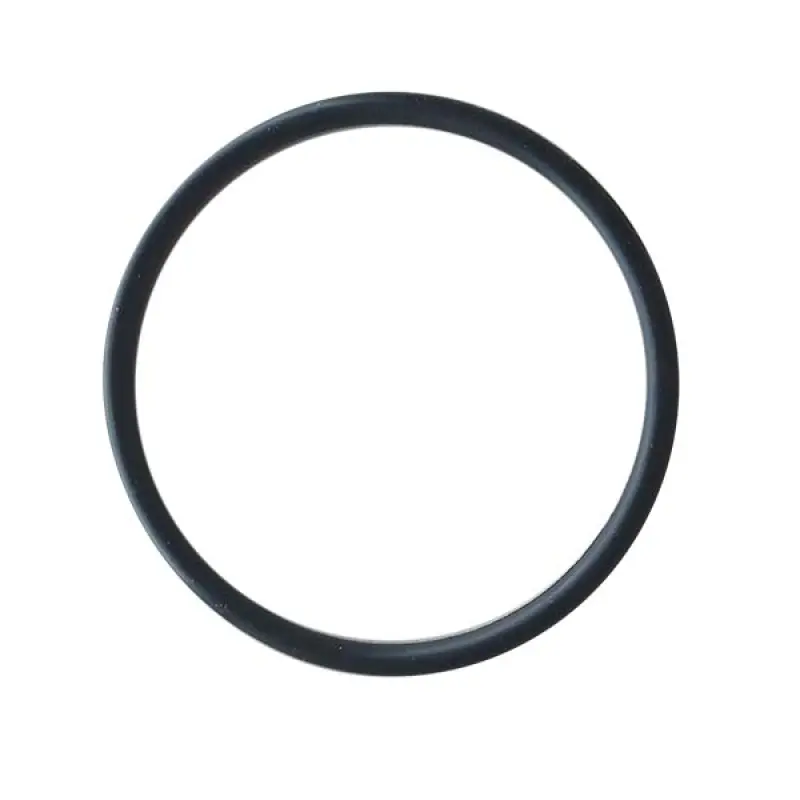 52419 Ring (unpacked) CNH