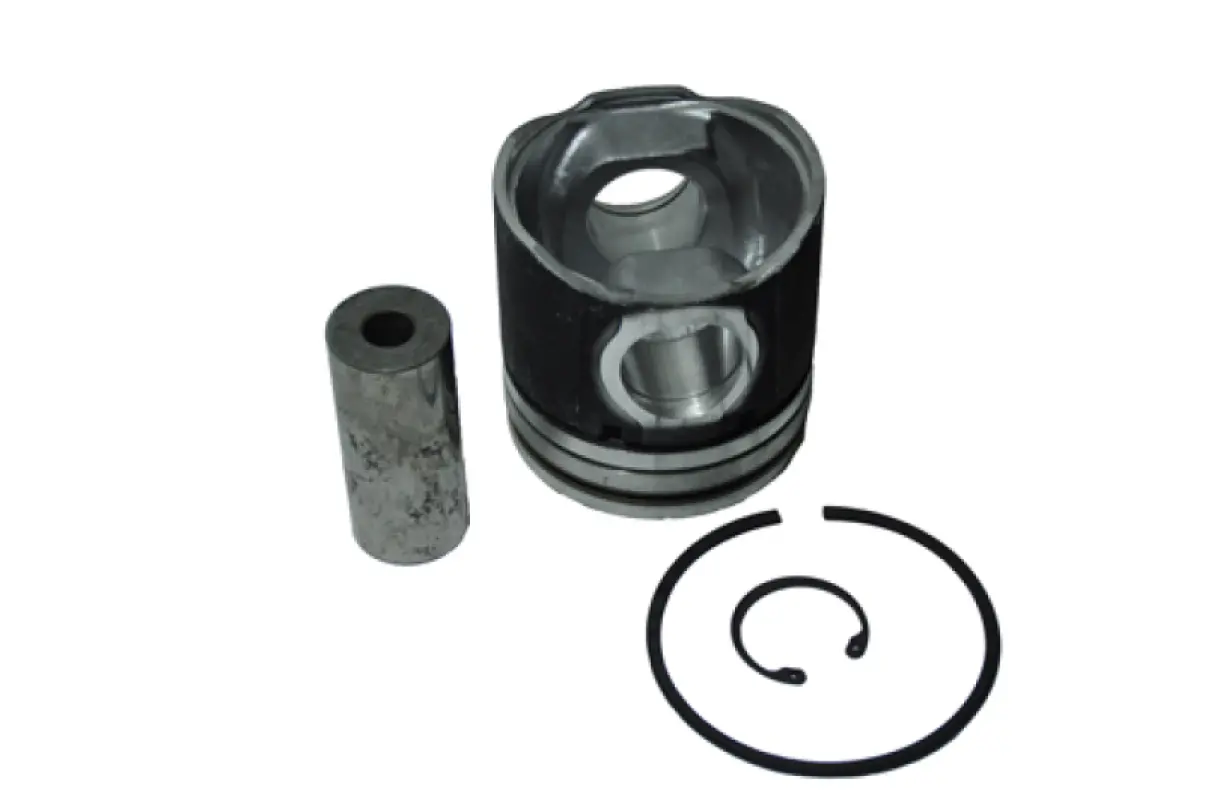 87802364 Piston, rings, piston pin for CNH 450T/PD engine