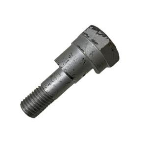 30110072 Śruba mimośrodowa М20х95-D45/31 Zn Lemken