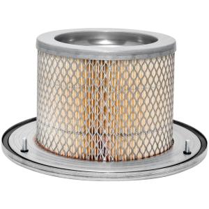 PA3919 Air Filter Element BALDWIN