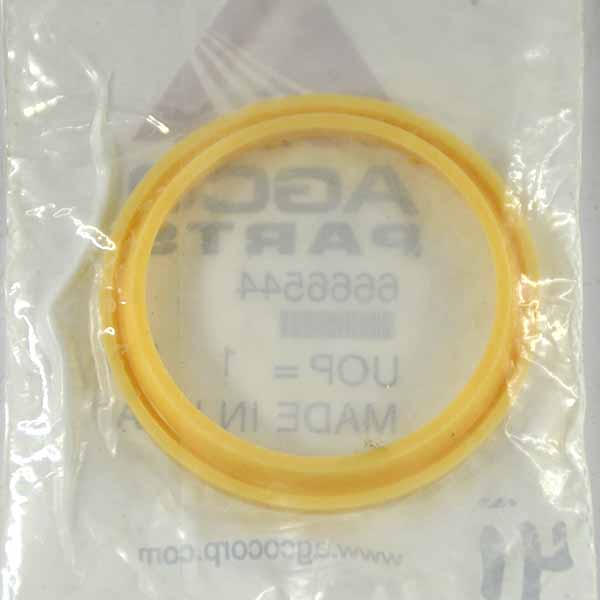 6666544 Uszczelka Massey Ferguson (Agco Parts)