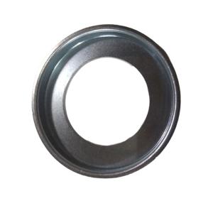 ACP0000220 Sealing Ring AGCO PARTS