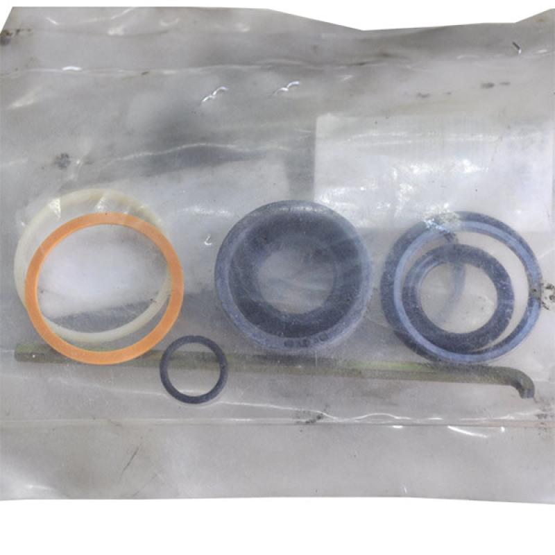 WR122431 Hydraulic Cylinder Repair Kit Massey Ferguson (AGCO PARTS)