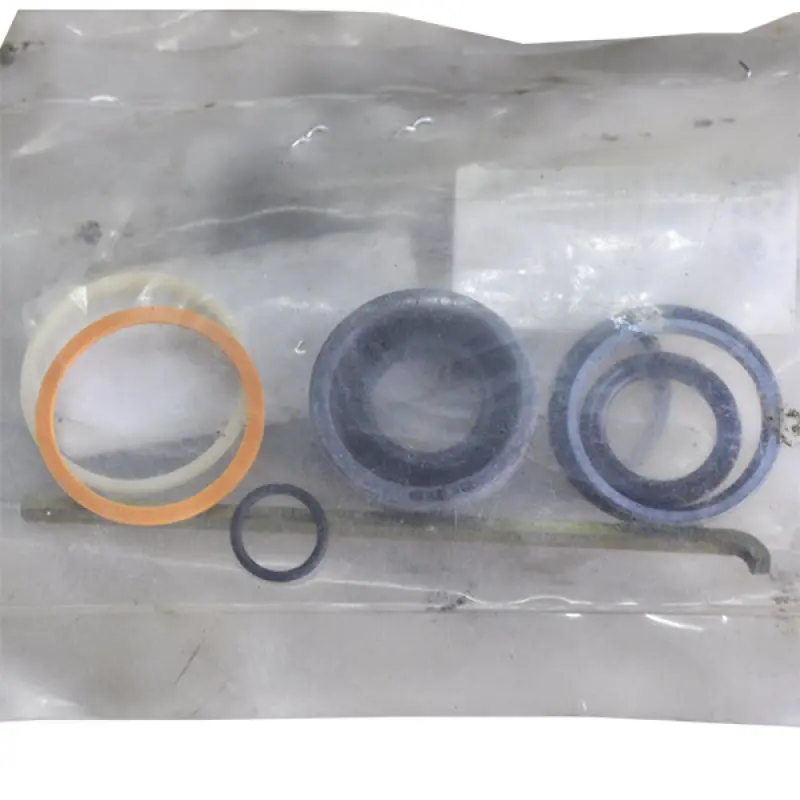 WR122431 Zestaw naprawczy cylindra hydraulicznego Massey Ferguson (AGCO PARTS)