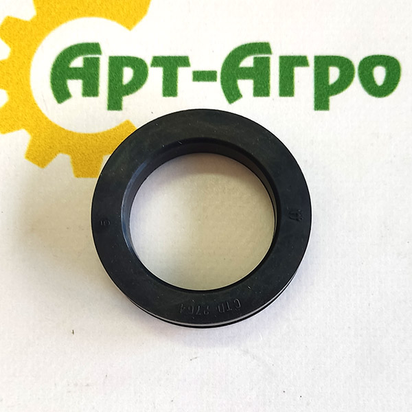 ACP0000230 Uszczelka olejowa Agco Parts