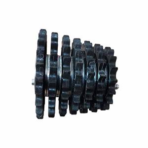 G22270163R Gear Gaspardo (Agricultural Parts)