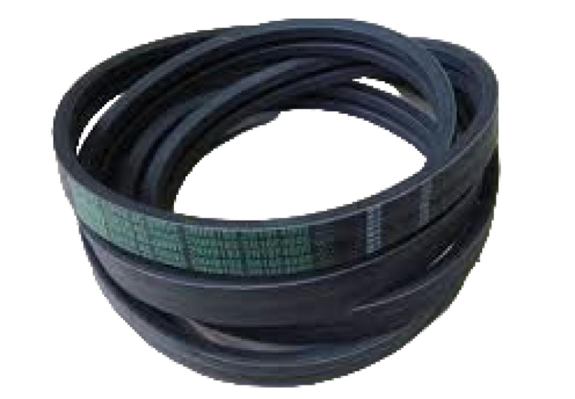 2RHB193 Belt Carlisle