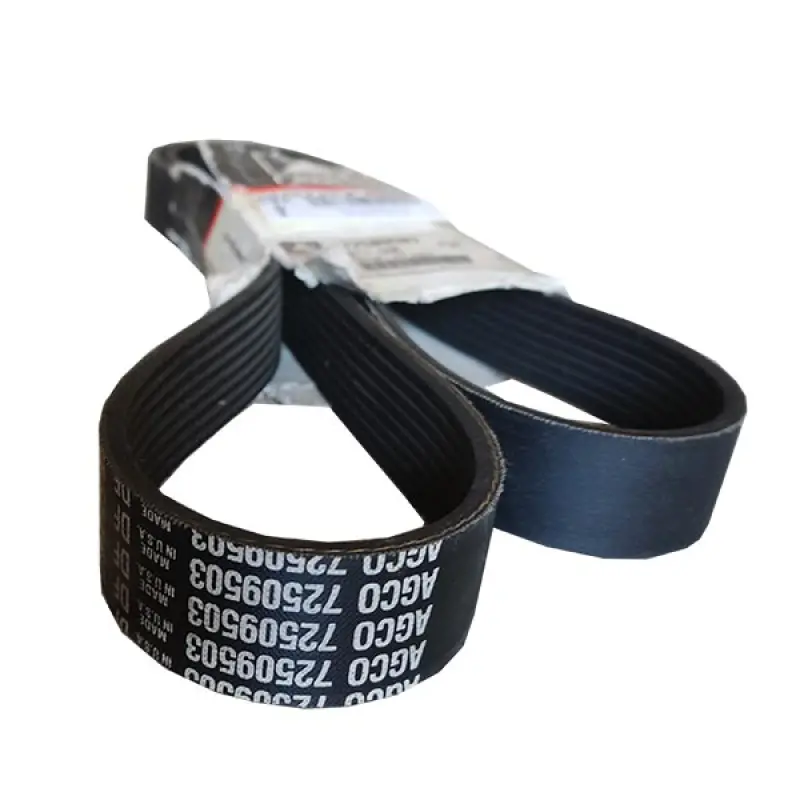 72509503 Pasek wieloramienny Massey Ferguson (Agco Parts)