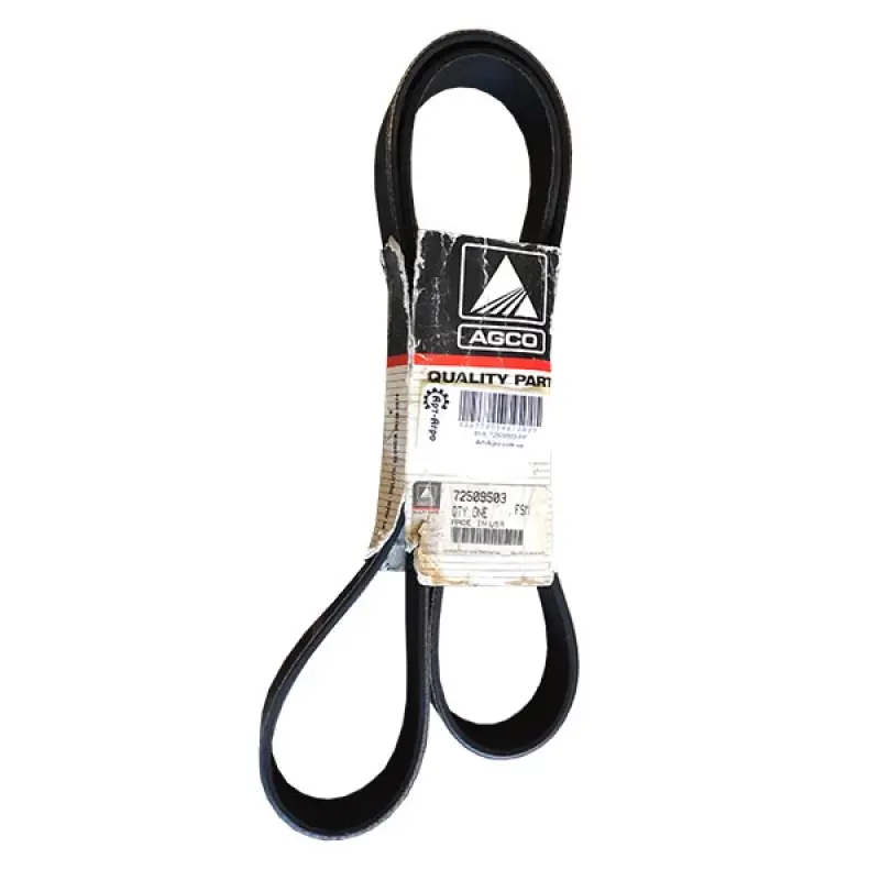 72509503 Pasek wieloramienny Massey Ferguson (Agco Parts)