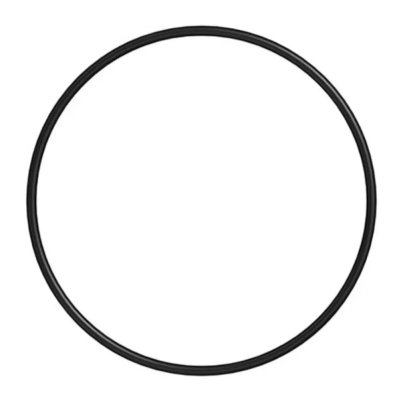 3682177 O-ring of the turbocharger pipe Cummins ISX15, QSX15
