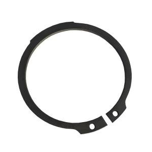 AG520005 Retaining Ring Agco Parts