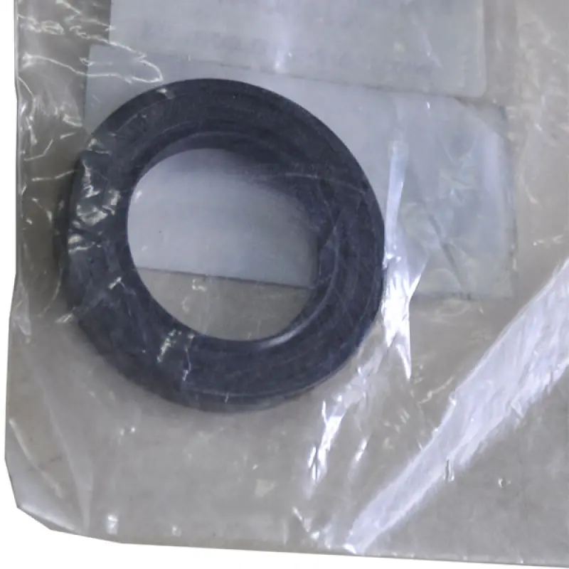 V614103047 Uszczelka olejowa AGCO PARTS
