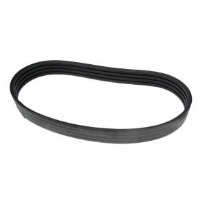 660504 Four-rib belt CLAAS